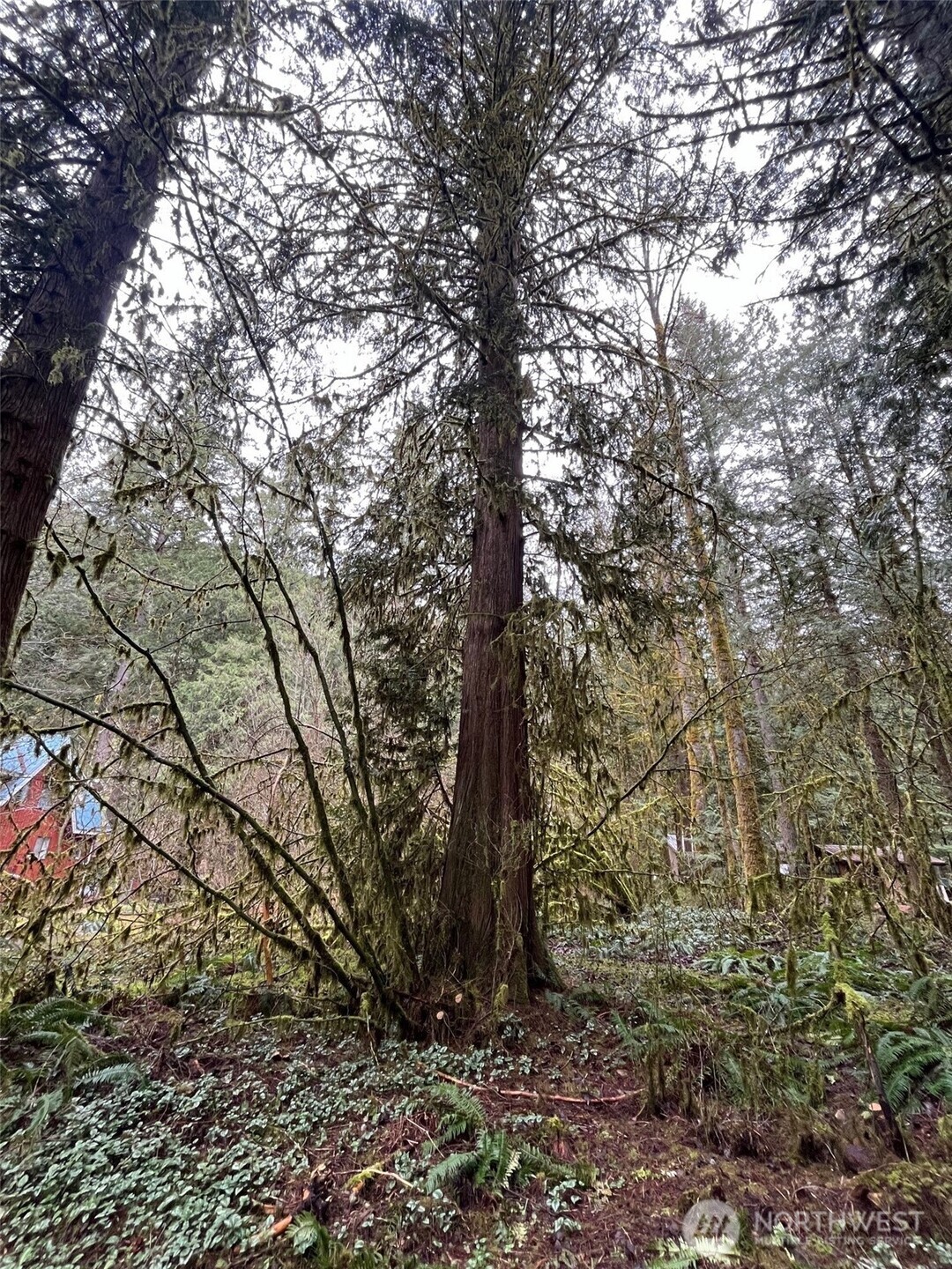 7138 Rainier Way Property Photo 5