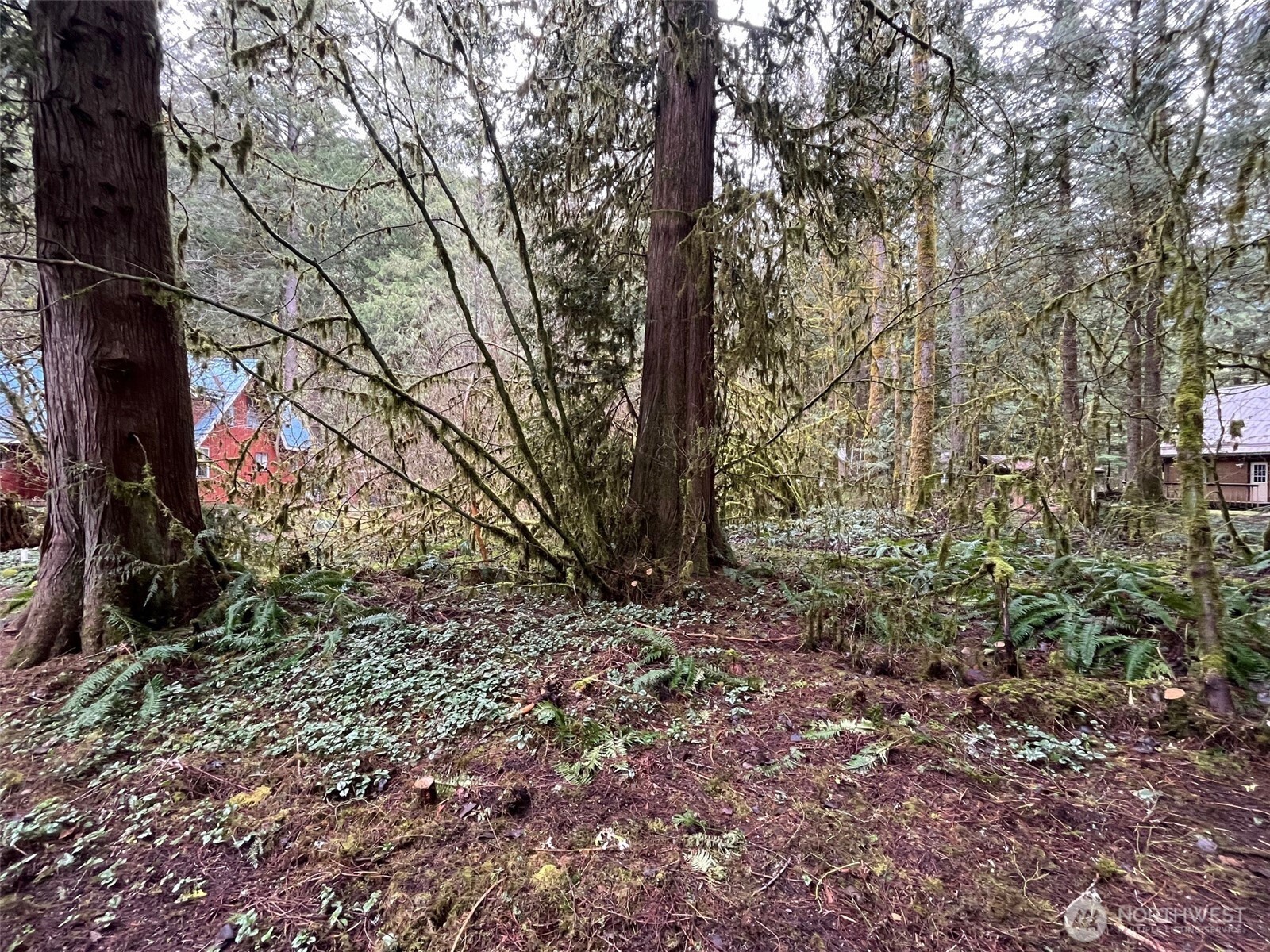 7138 Rainier Way Property Photo 6