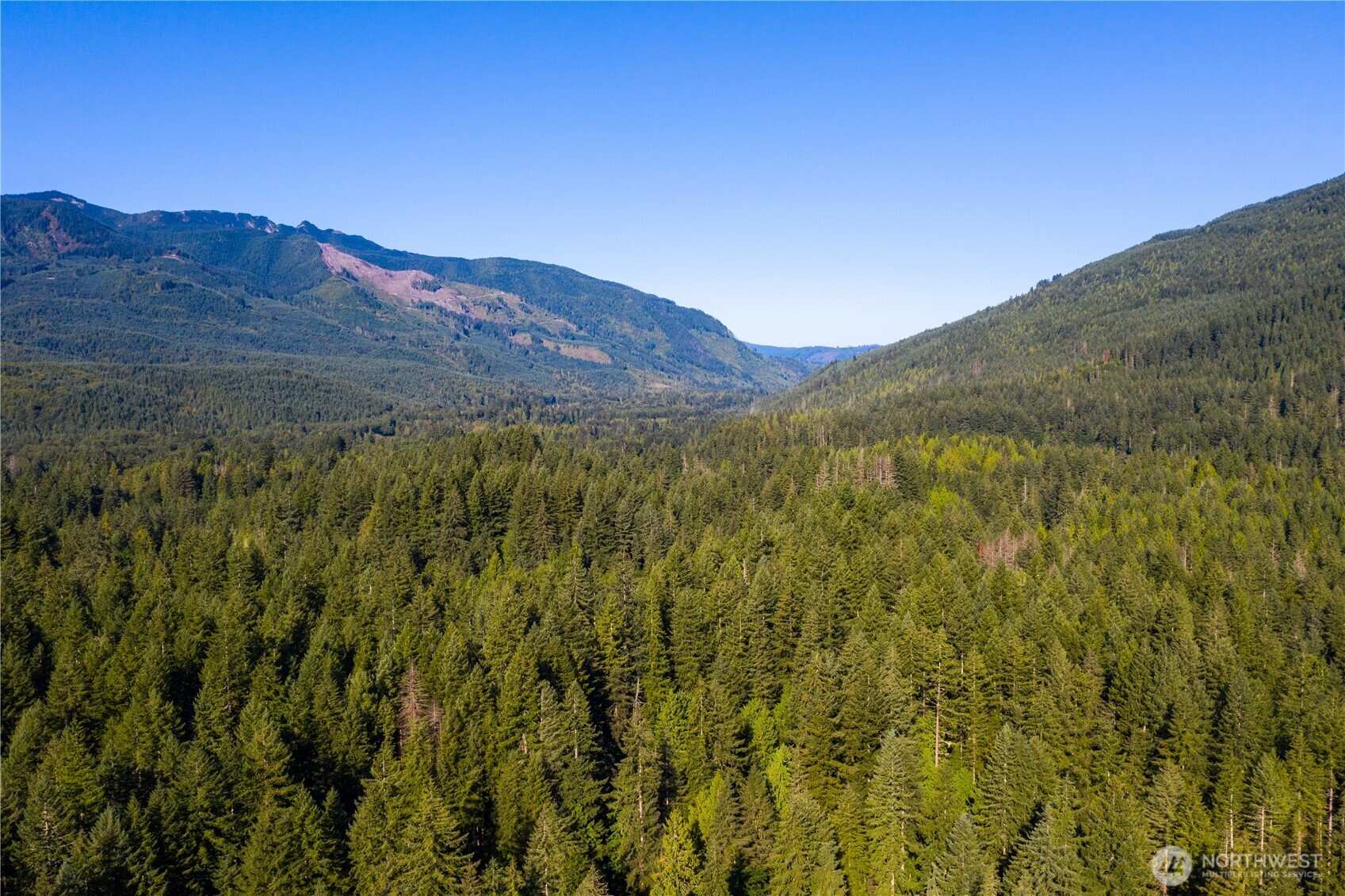 7138 Rainier Way Property Photo 14