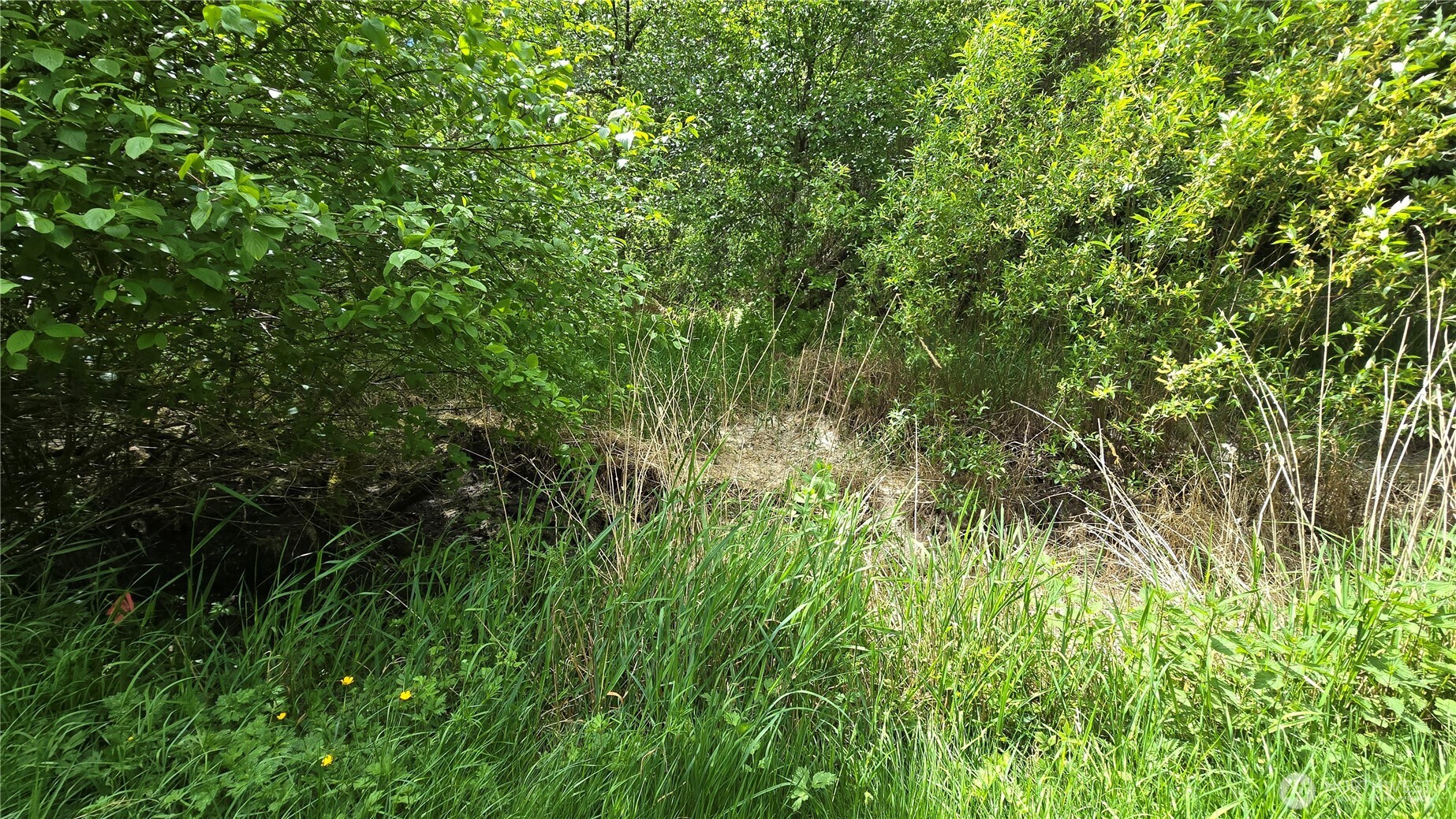 715 N Bagley Creek Road Property Photo 17