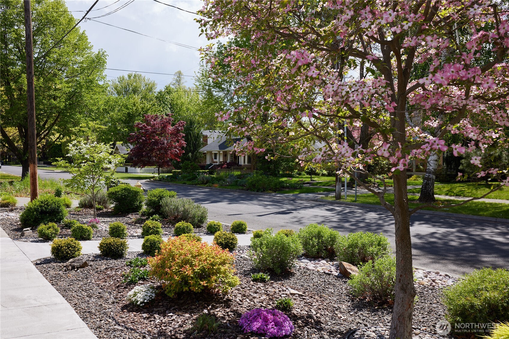 527 Catherine Street Property Photo 27