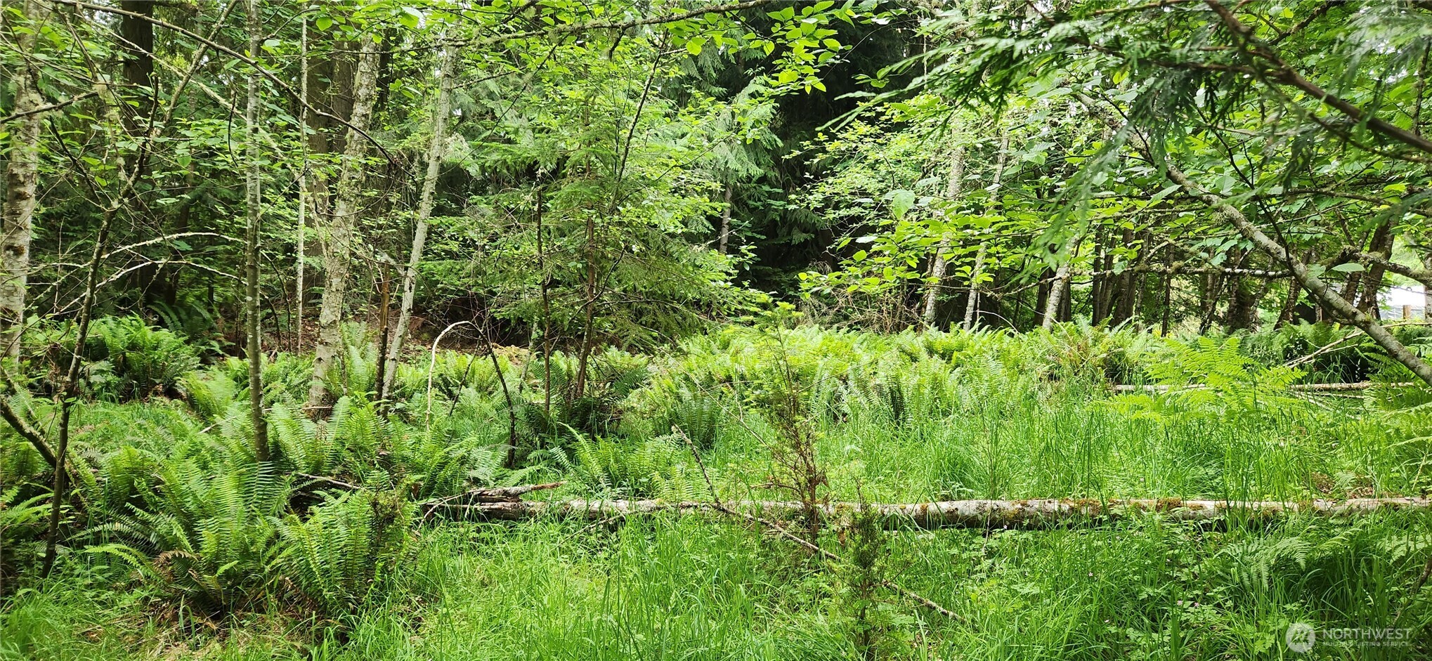 2536 Deer Park Road Property Photo 7