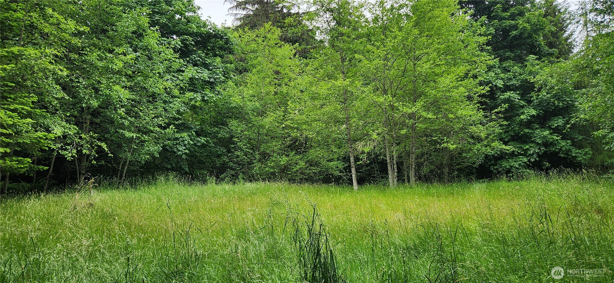 2536 Deer Park Road Property Photo 1