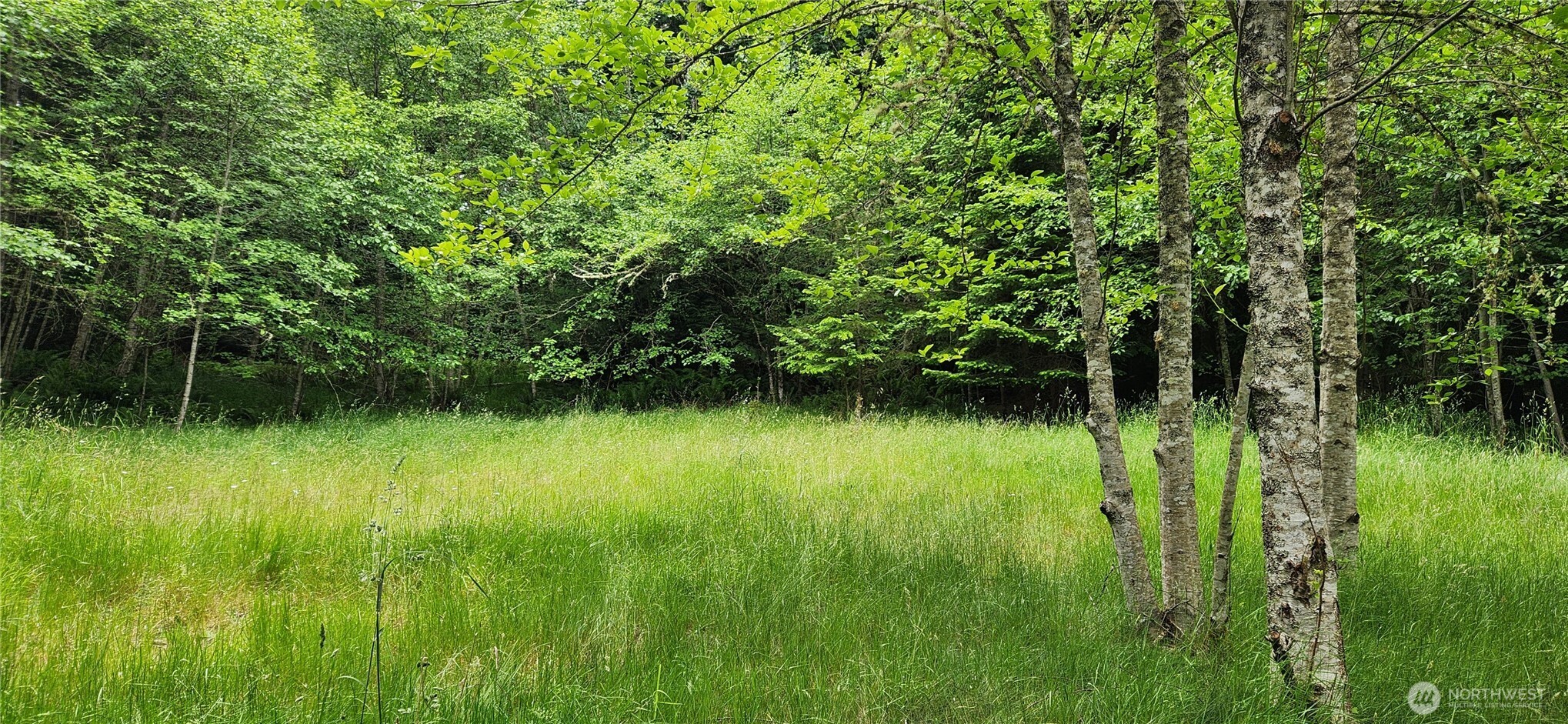 2536 Deer Park Road Property Photo 4