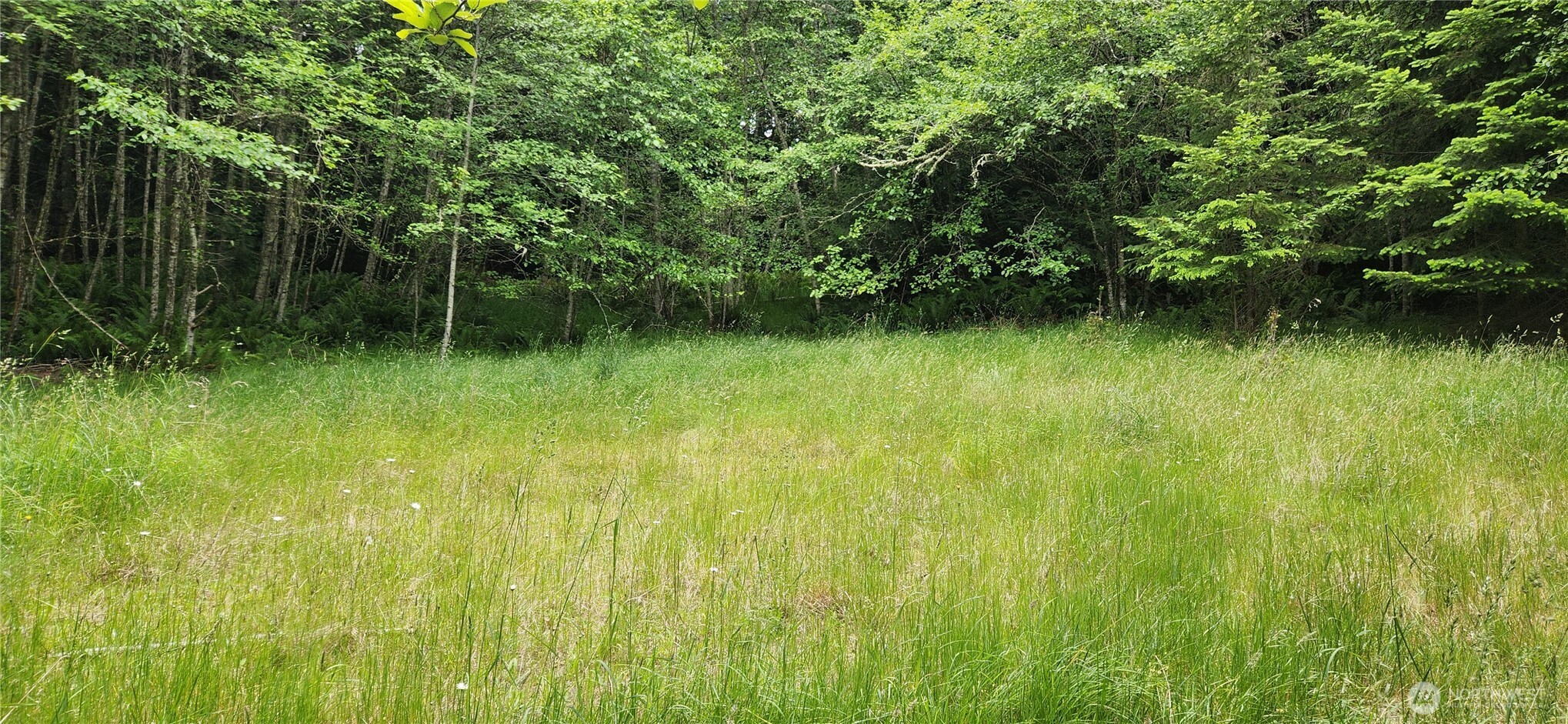2536 Deer Park Road Property Photo 5