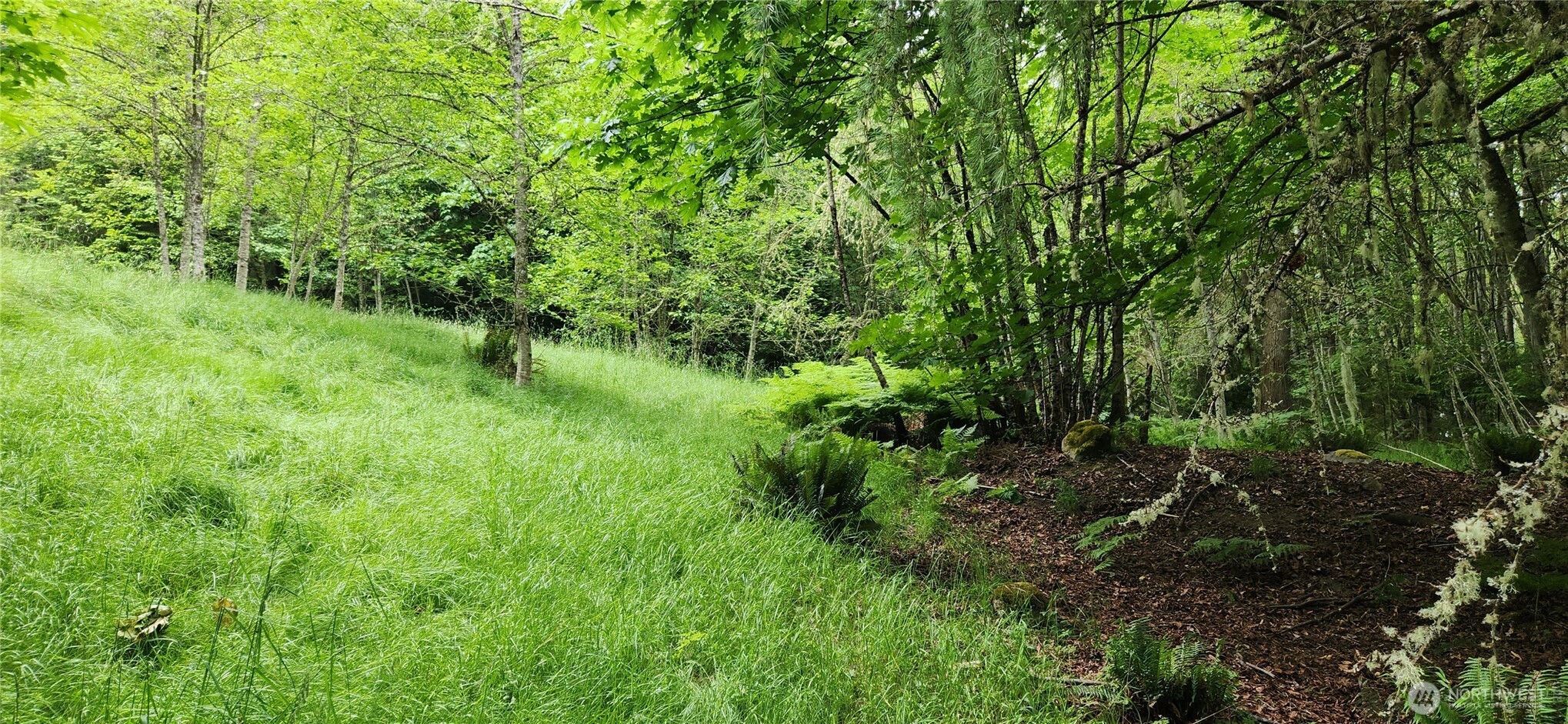 2536 Deer Park Road Property Photo 8