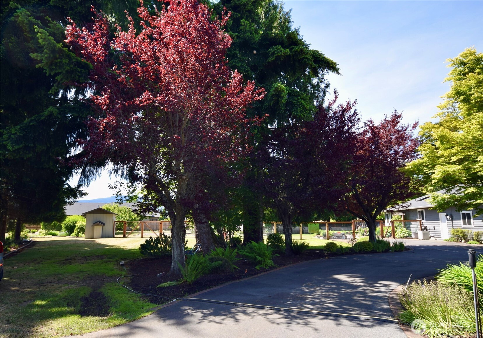 42 Ioka Road Property Photo 38