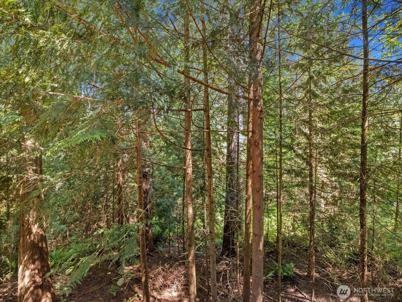 17116 Gravenstein Road Property Photo 23