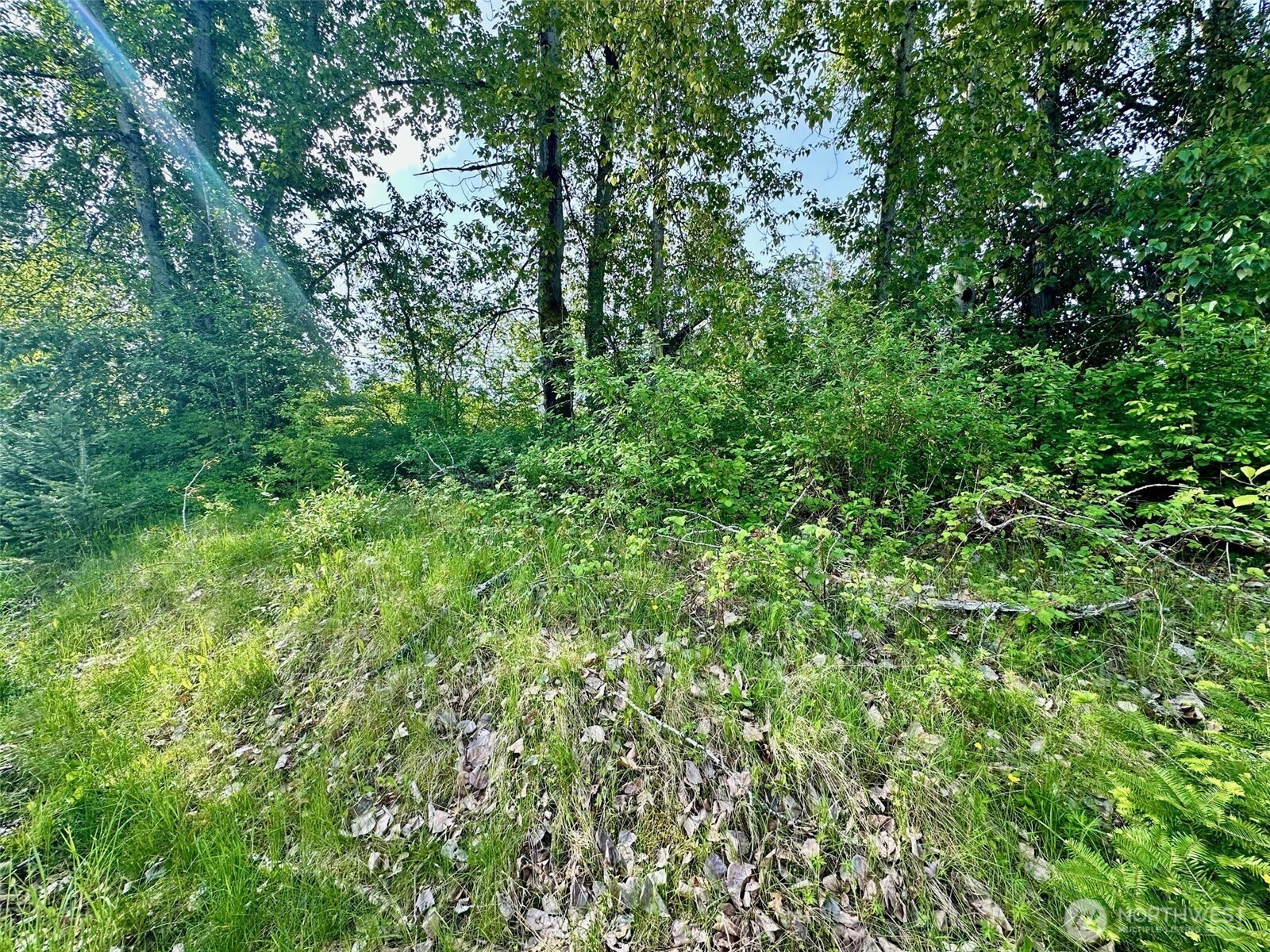3010 E Sunset Drive Property Photo 4