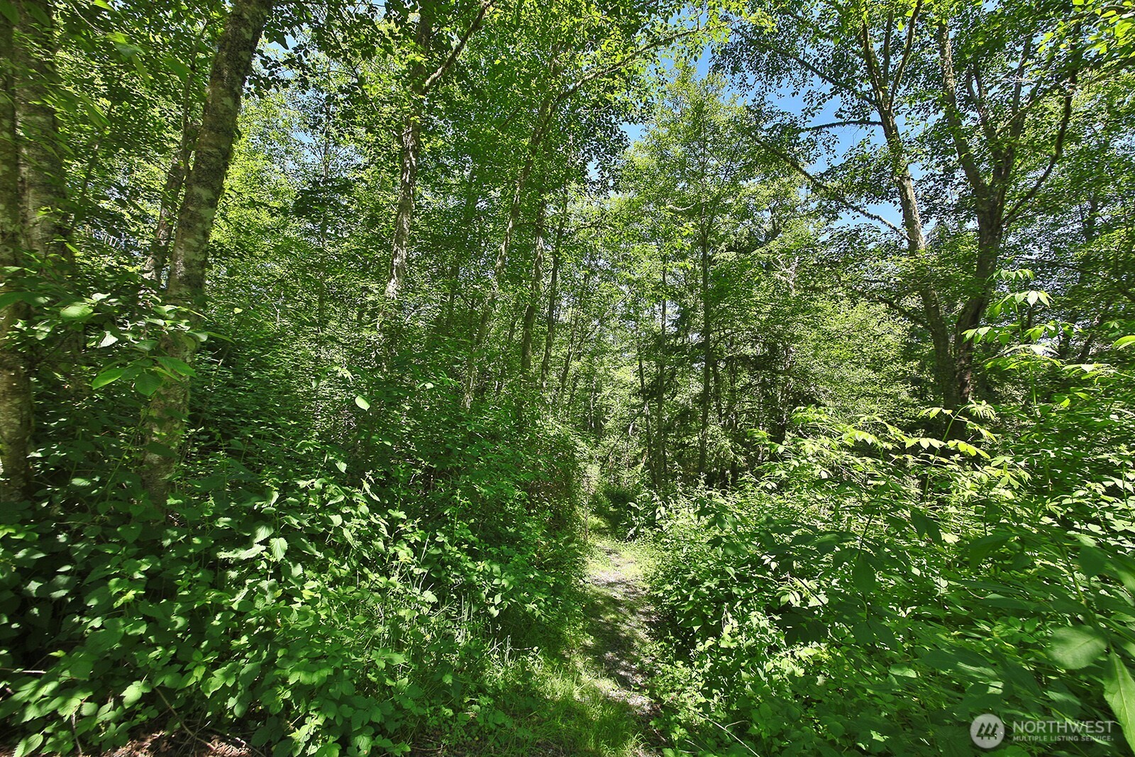 0 Xxxx Goss Ridge Road Property Photo 3