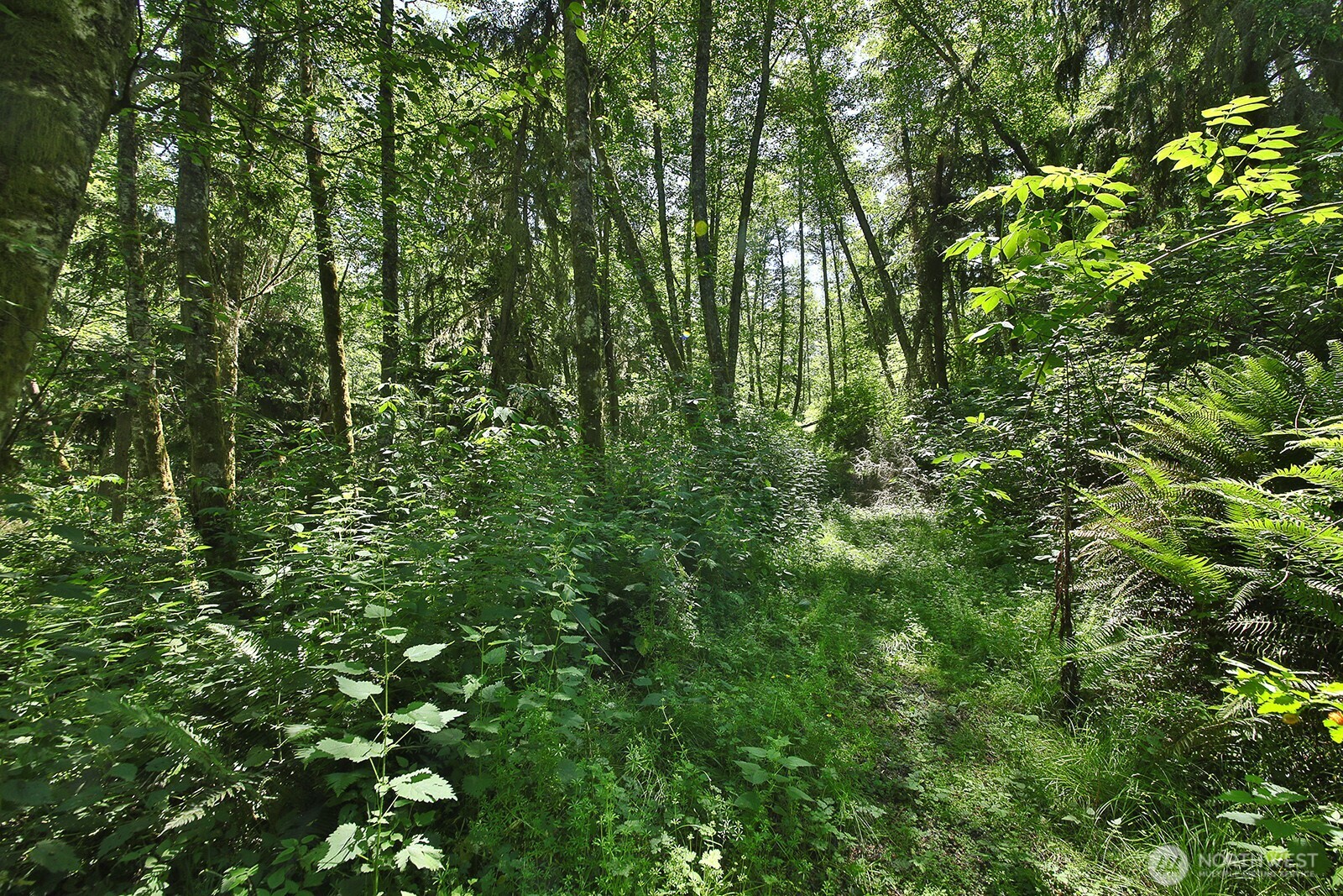0 Xxxx Goss Ridge Road Property Photo 4