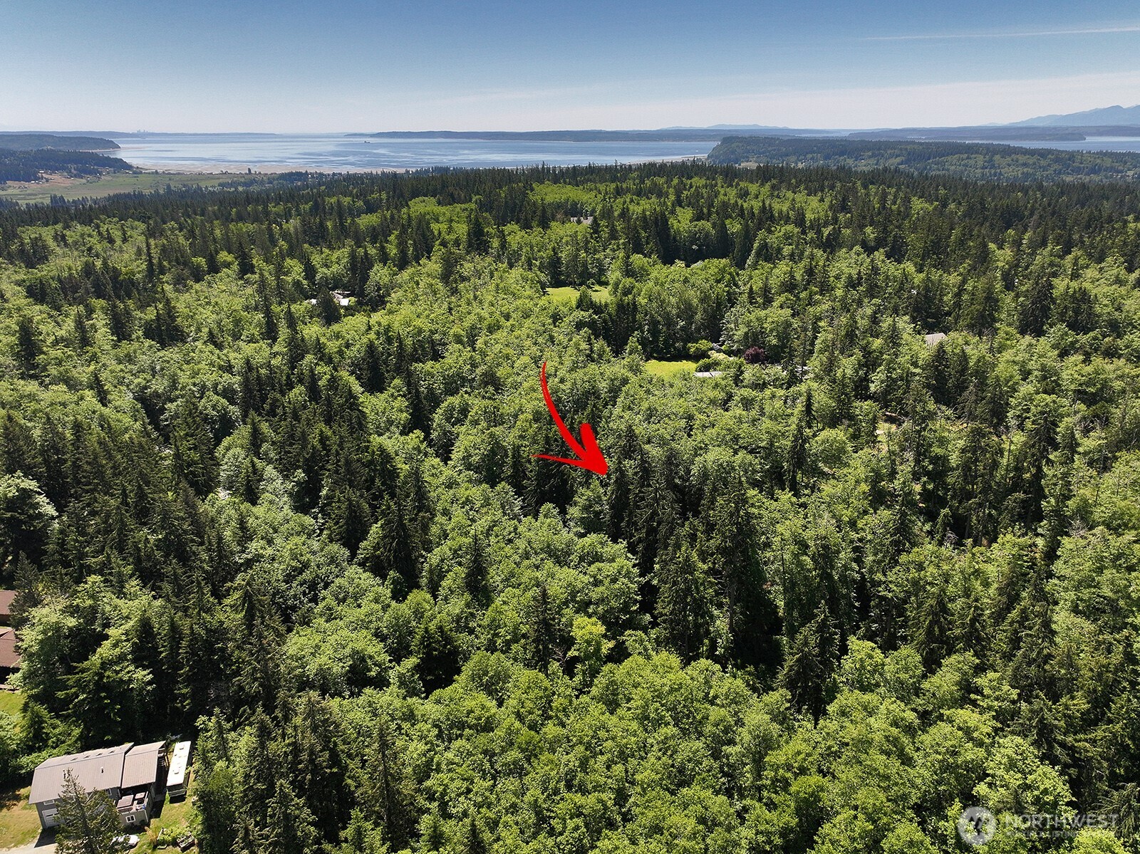 0 Xxxx Goss Ridge Road Property Photo 11