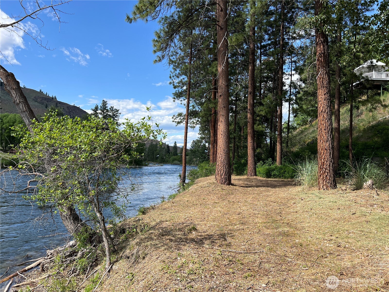 3 A Ross Road Property Photo 37