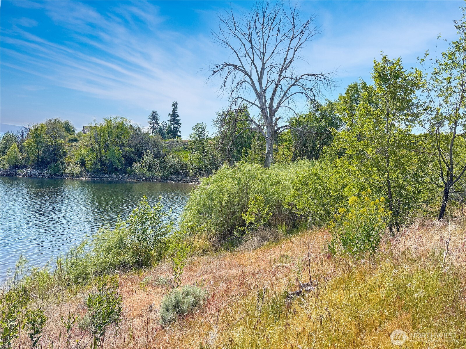 0 Lot 4 Freese Duck Lake Road Property Photo 9