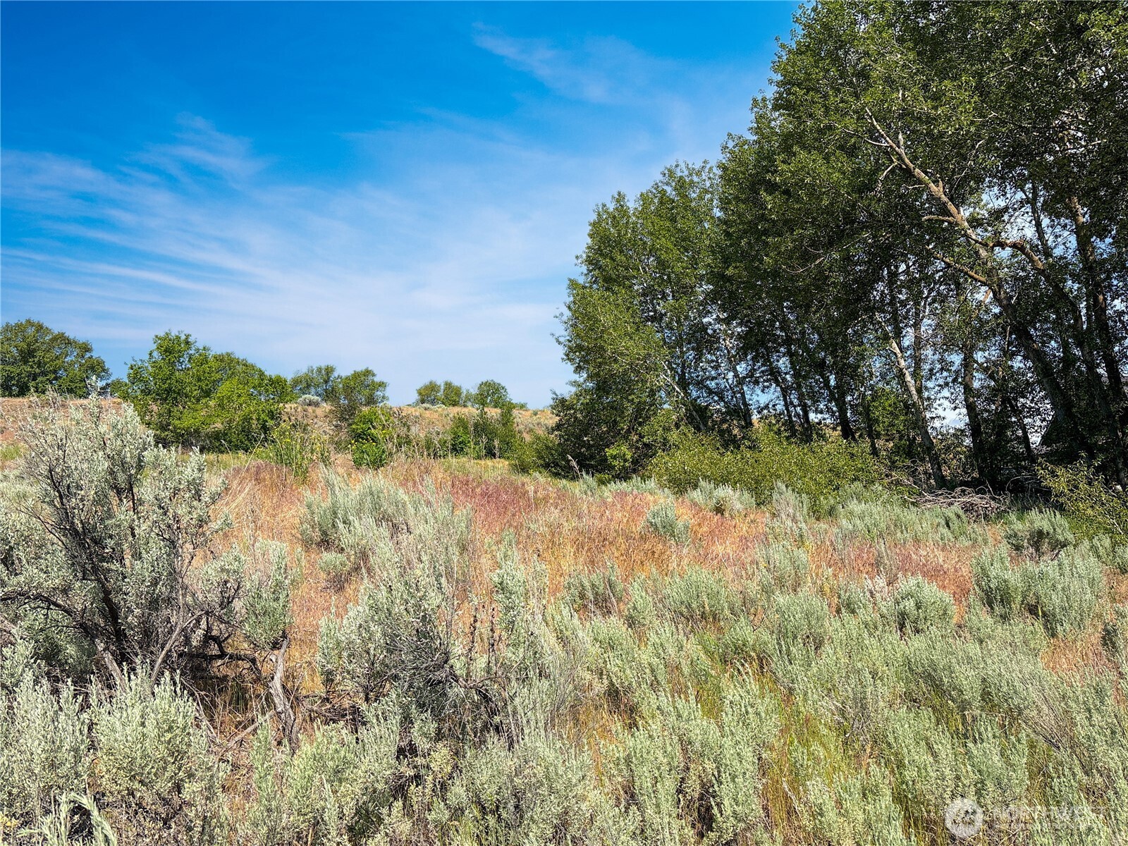 0 Lot 4 Freese Duck Lake Road Property Photo 13