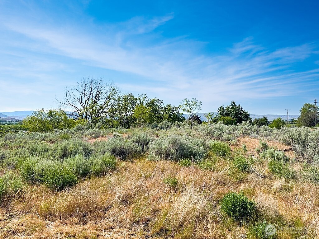 0 Lot 4 Freese Duck Lake Road Property Photo 14