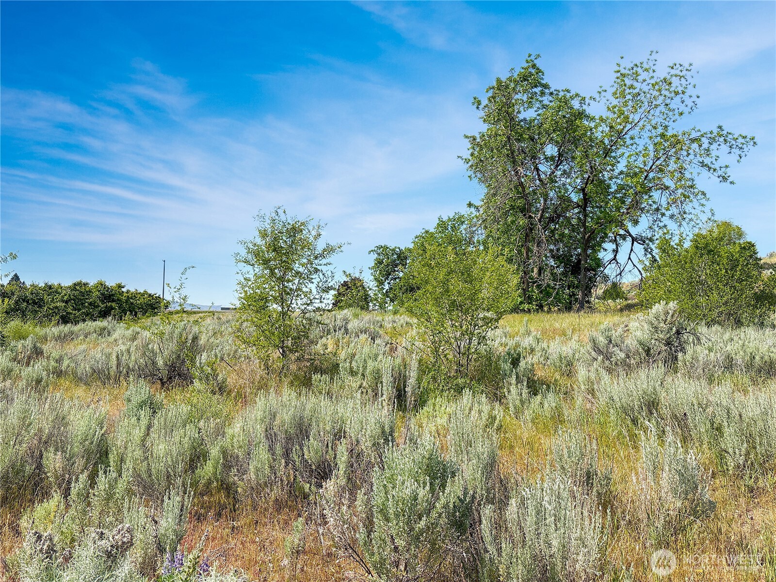 0 Lot 4 Freese Duck Lake Road Property Photo 15