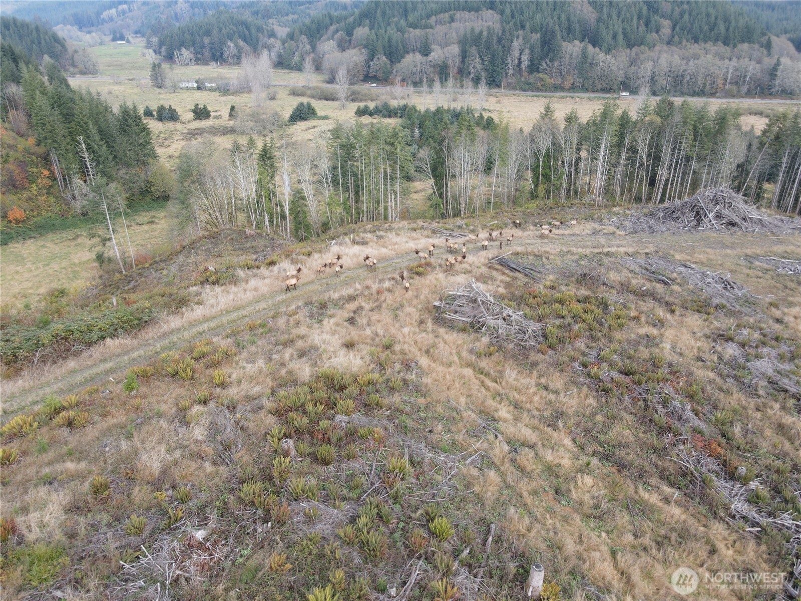 1929 W State Route 4 Property Photo 25