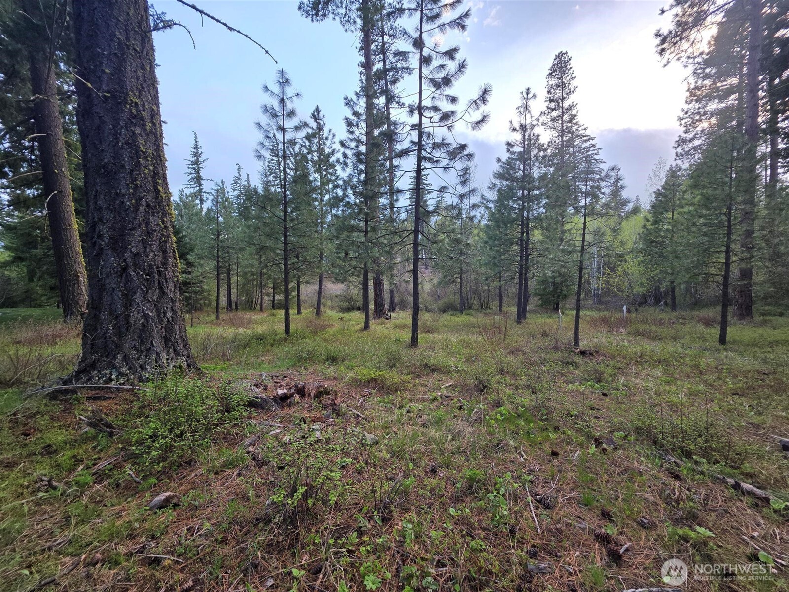15 Lot Old Grove Trail Property Photo 1