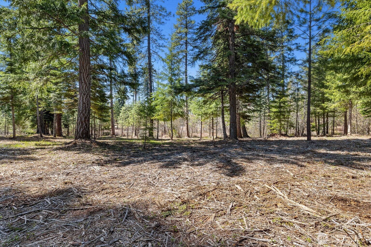 15 Lot Old Grove Trail Property Photo 2