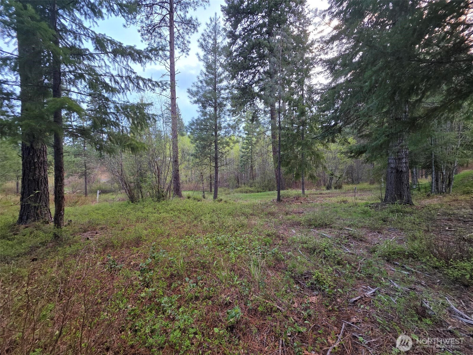 15 Lot Old Grove Trail Property Photo 6