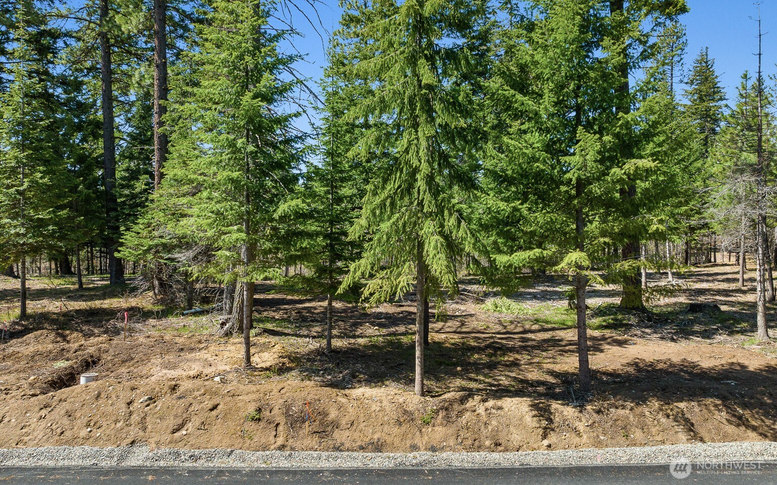 15 Lot Old Grove Trail Property Photo 7