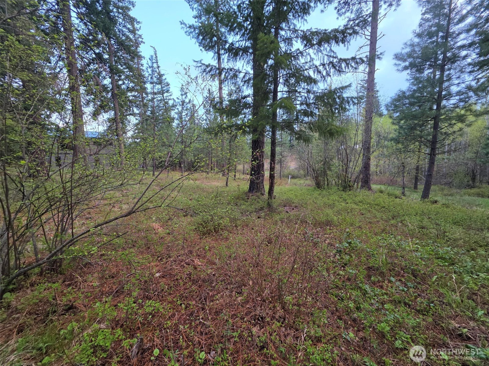 15 Lot Old Grove Trail Property Photo 8