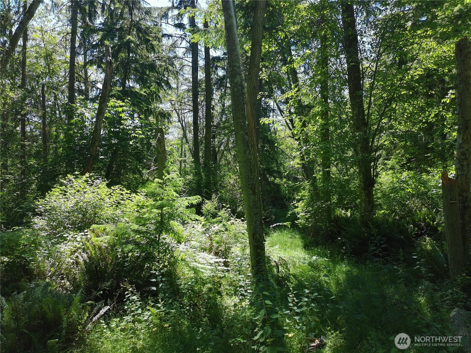 737 Twin View Drive Property Photo 8