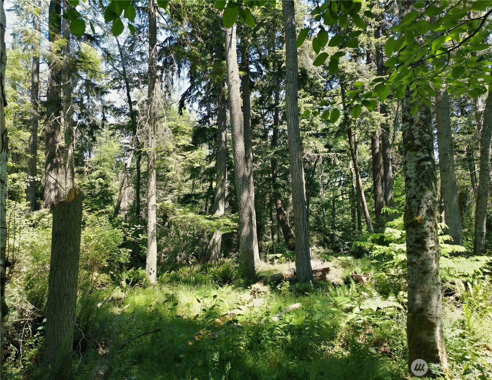 737 Twin View Drive Property Photo 10