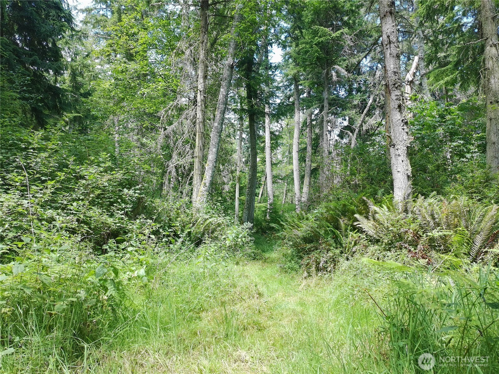 737 Twin View Drive Property Photo 12