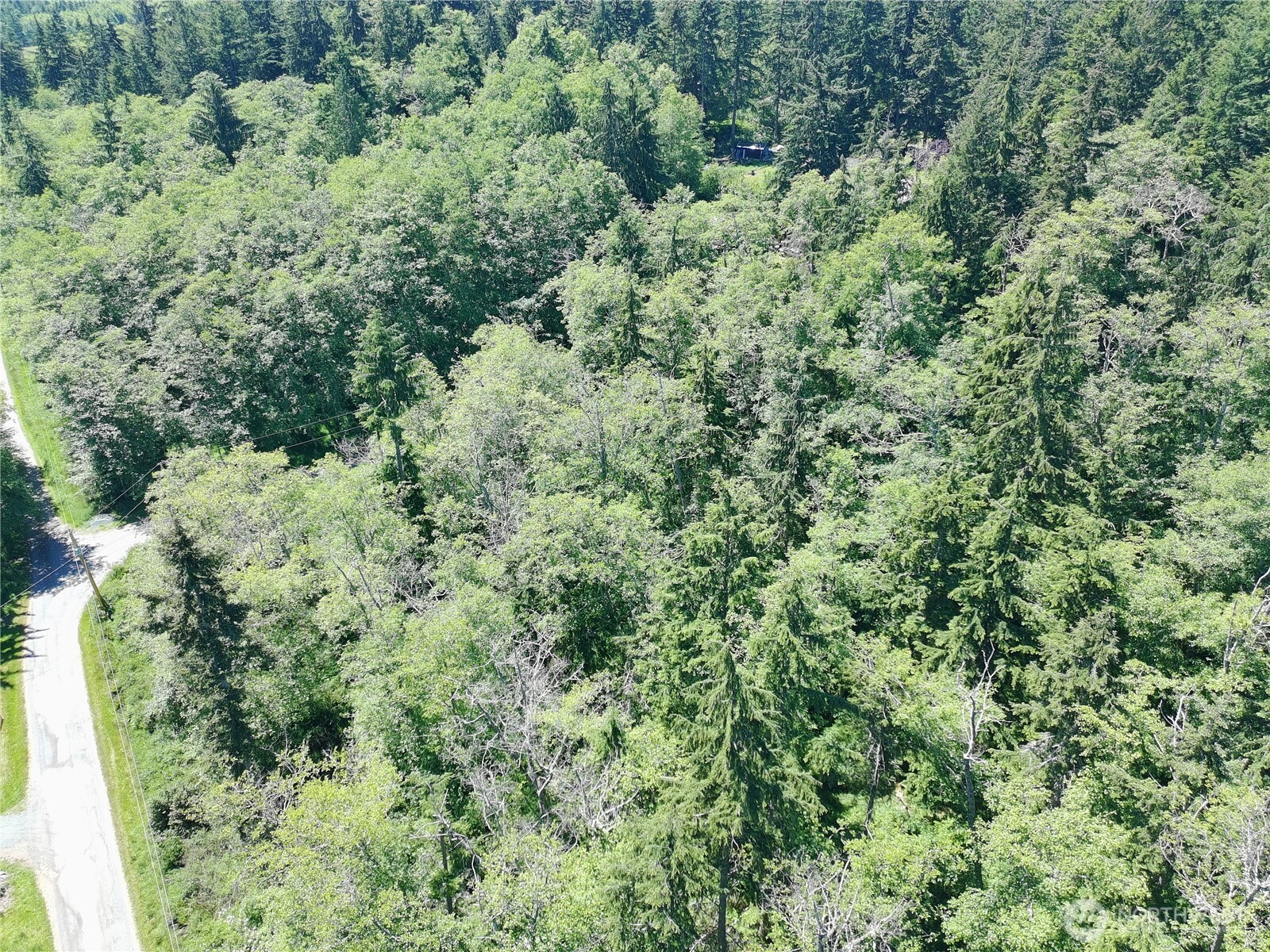 737 Twin View Drive Property Photo 13