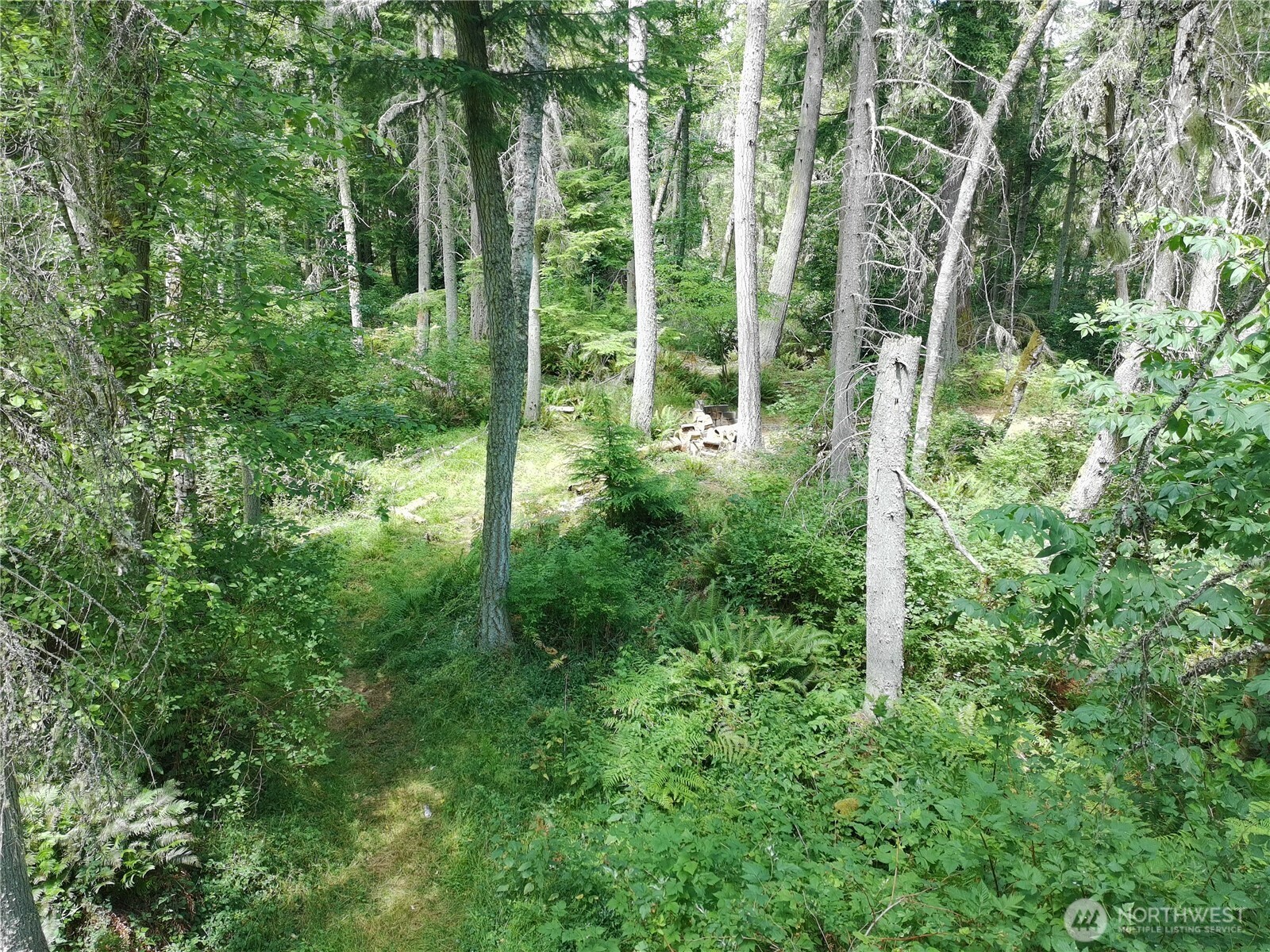 737 Twin View Drive Property Photo 14