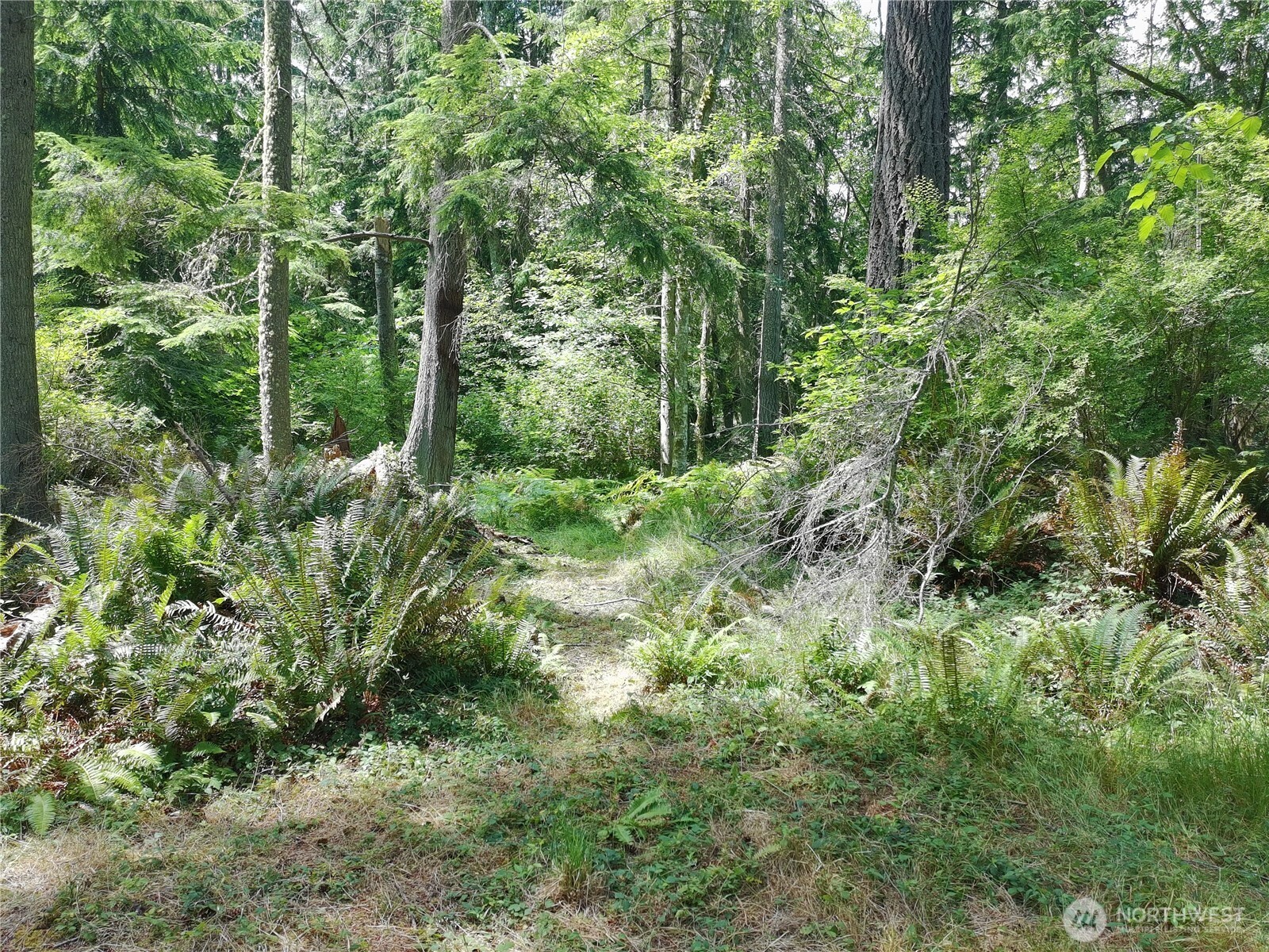 737 Twin View Drive Property Photo 19
