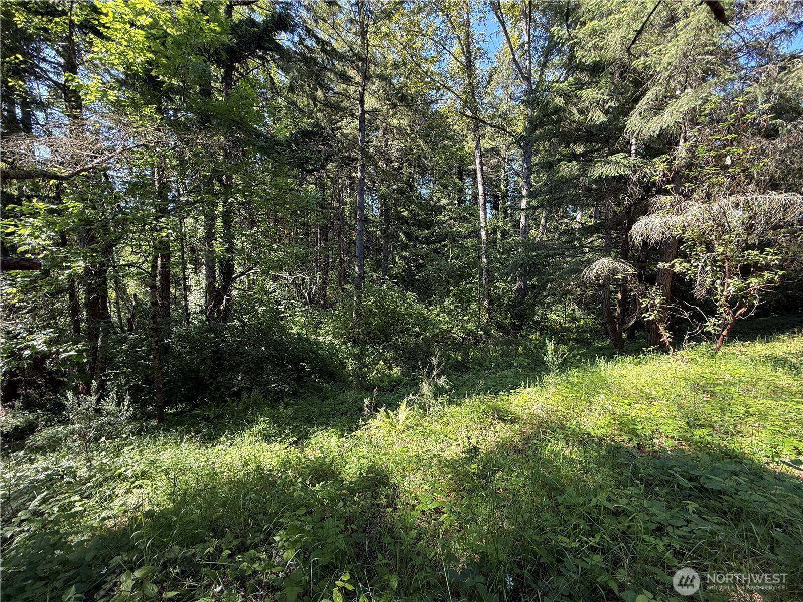 155 Xx 62nd Avenue Property Photo 2