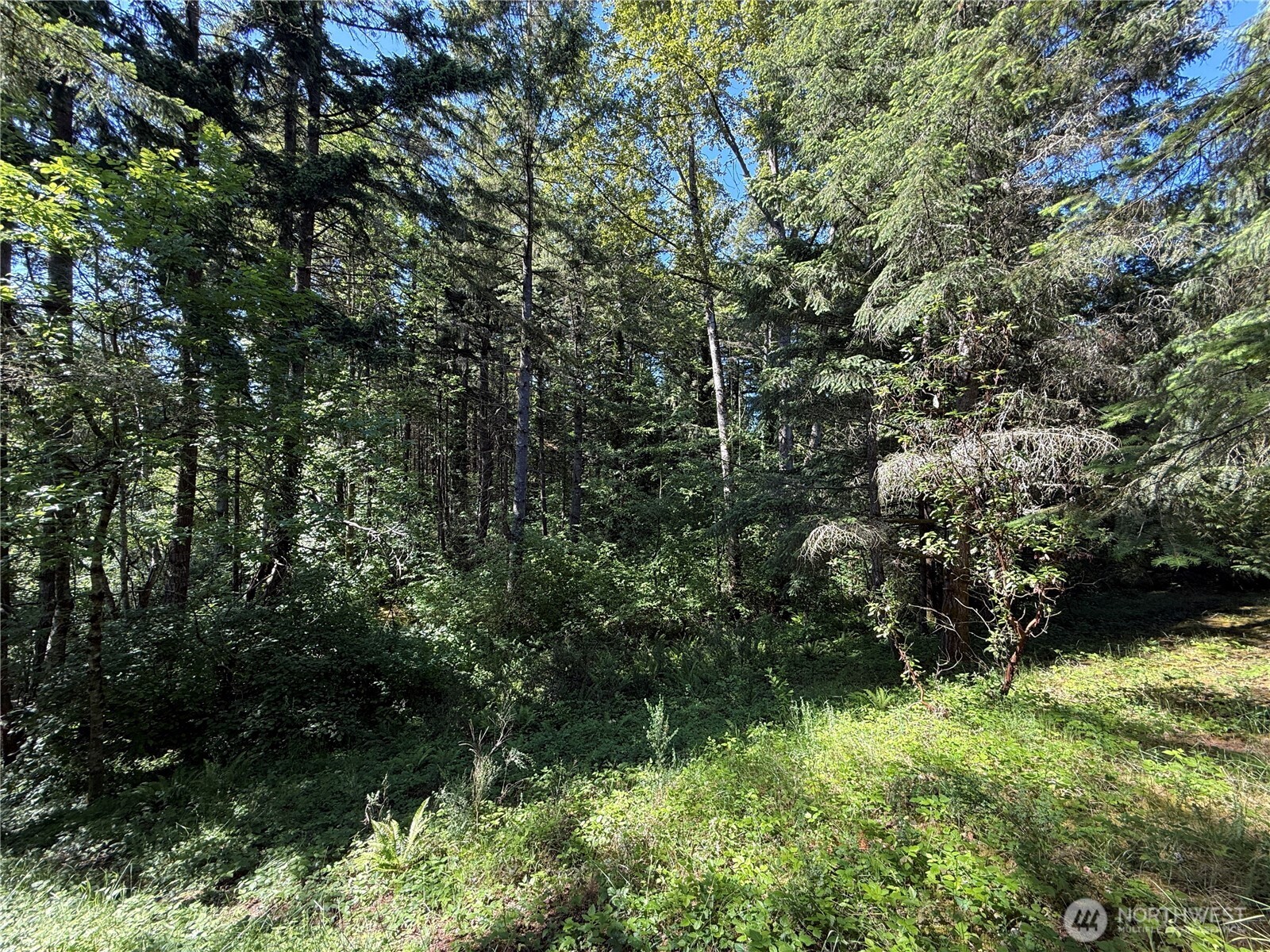 155 Xx 62nd Avenue Property Photo 11