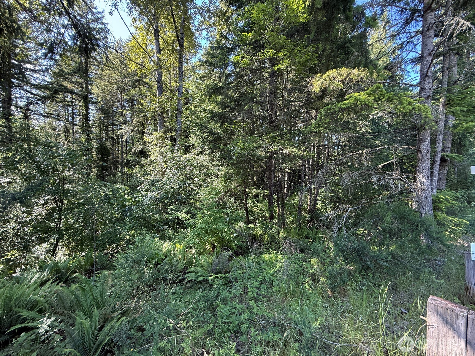 155 Xx 62nd Avenue Property Photo 12