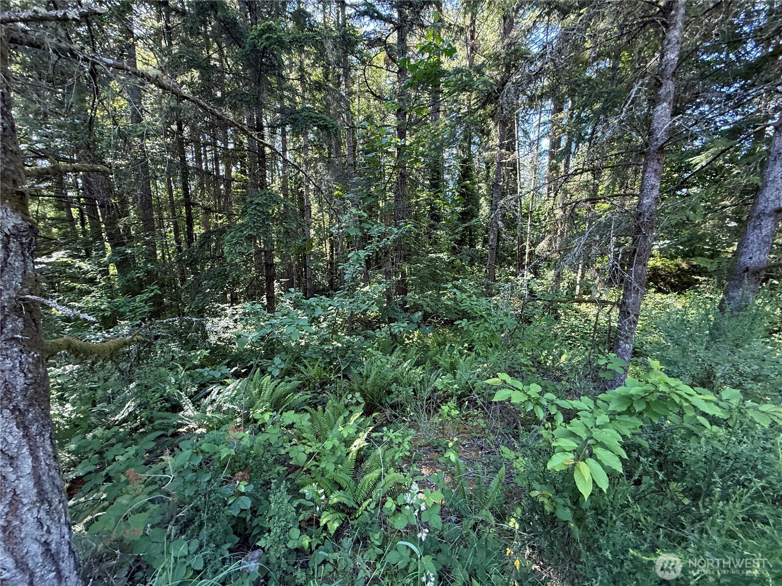 155 Xx 62nd Avenue Property Photo 13