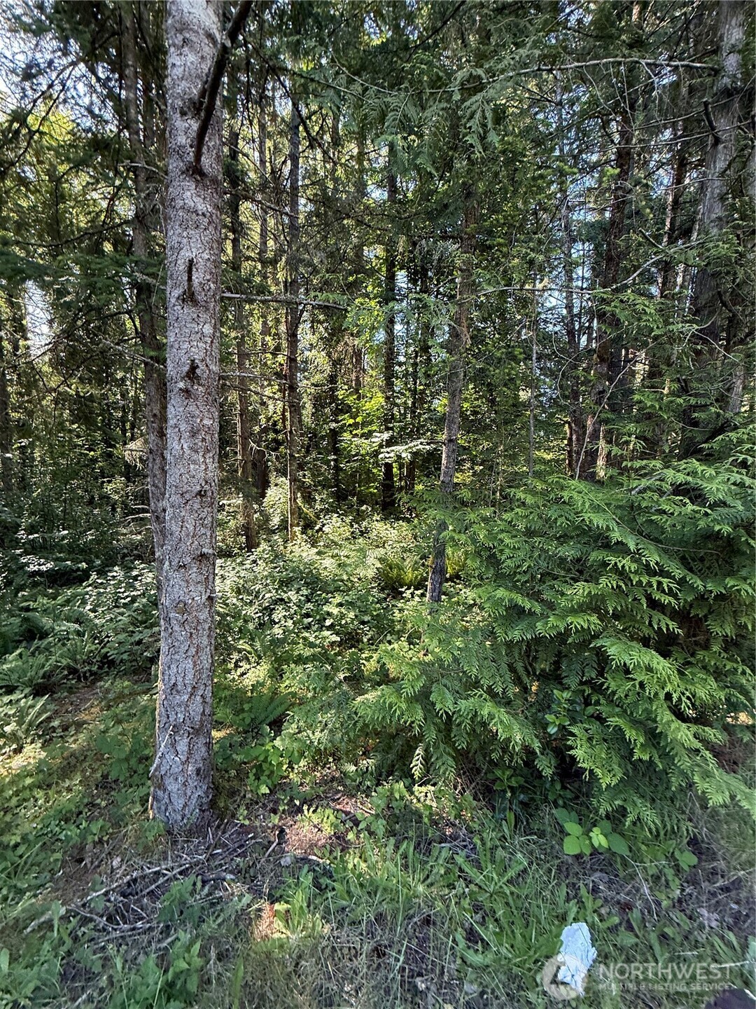 155 Xx 62nd Avenue Property Photo 14