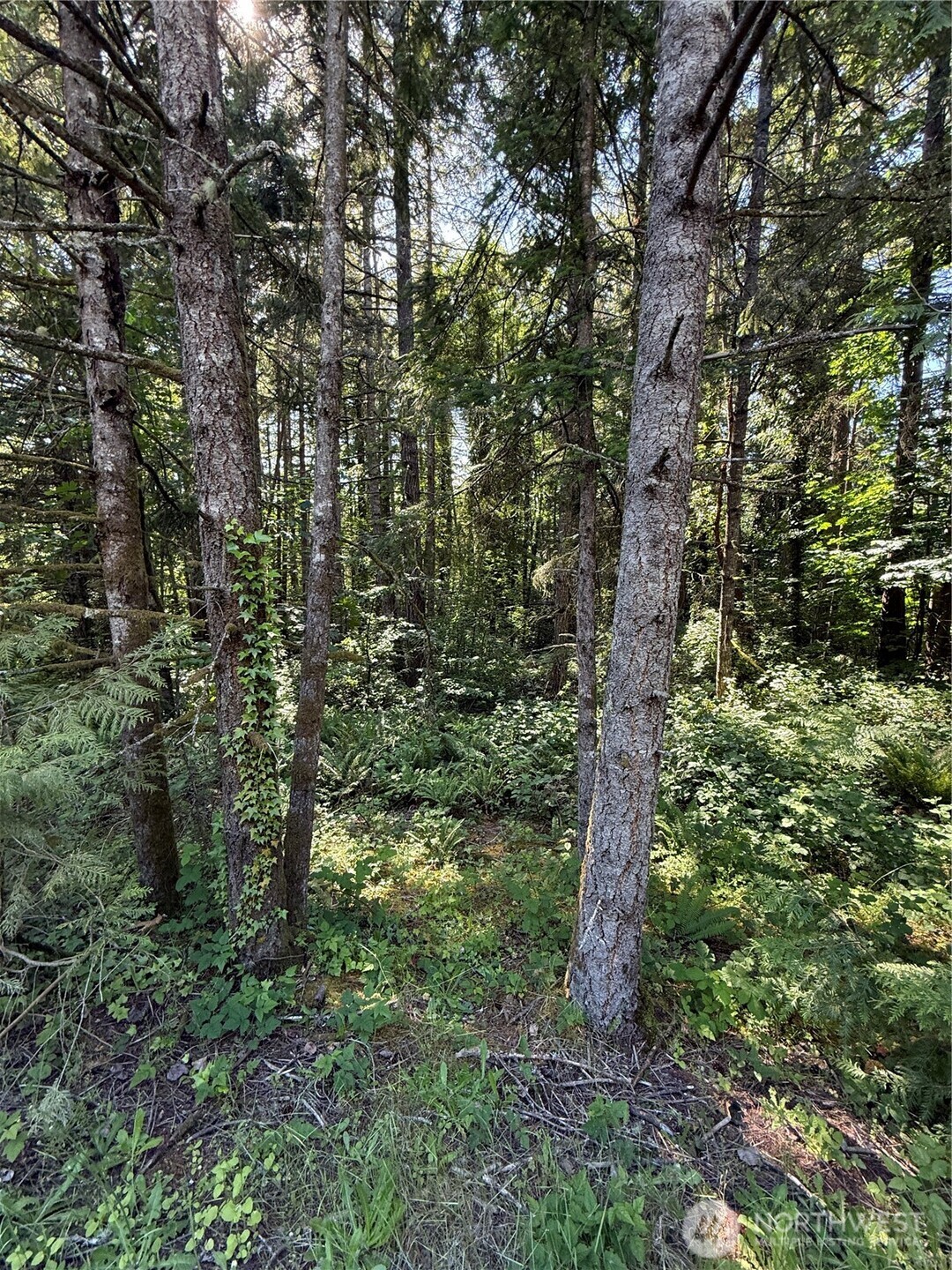 155 Xx 62nd Avenue Property Photo 15
