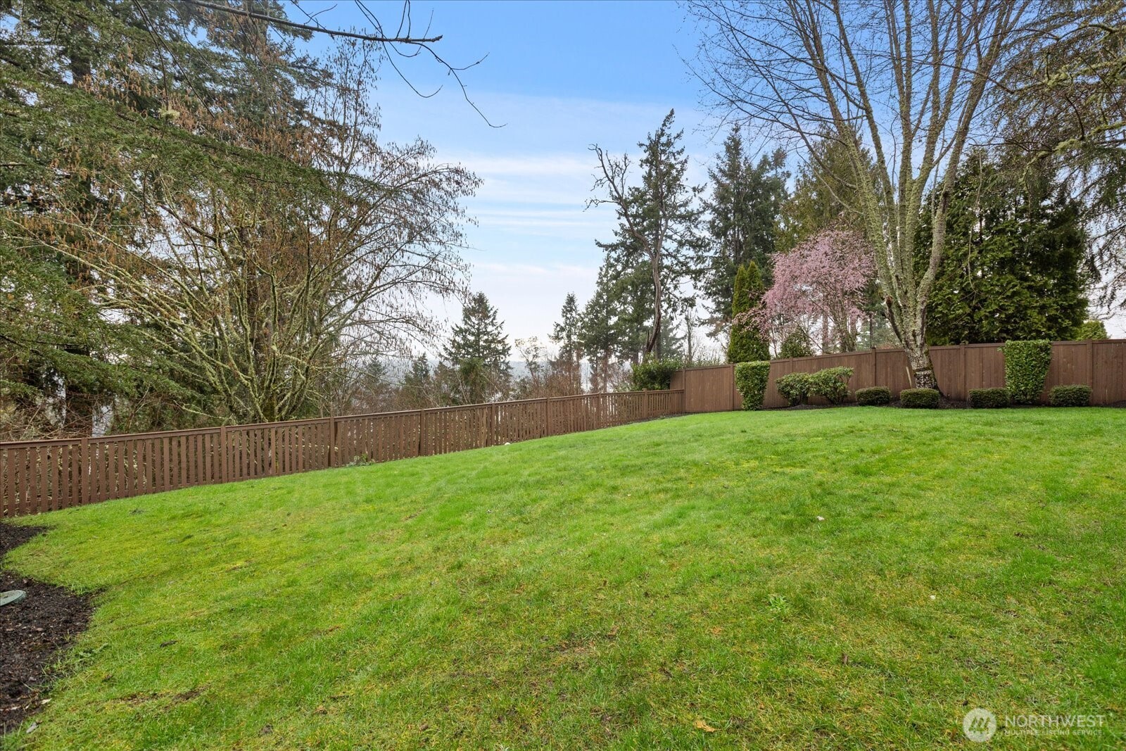 2211 204th Place Ne Property Photo 36