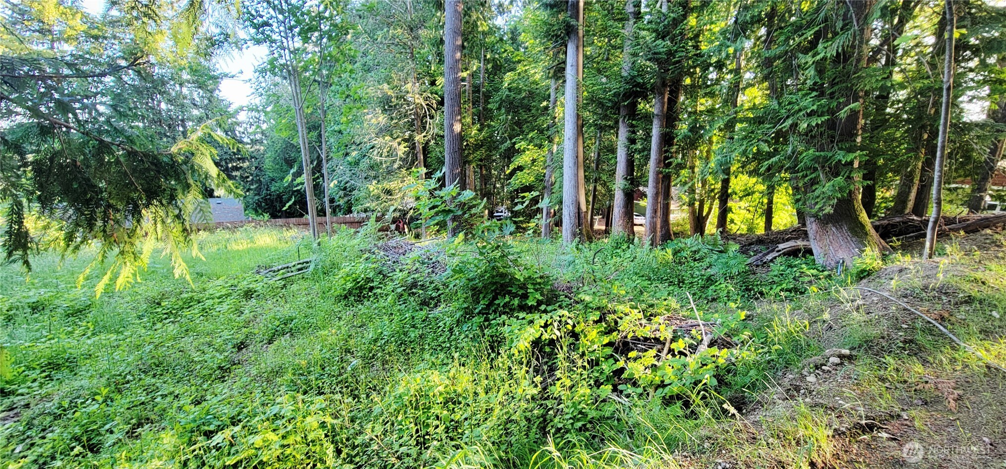 1810 Mason Street Property Photo 4