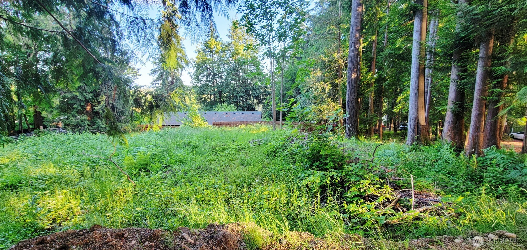 1810 Mason Street Property Photo 7