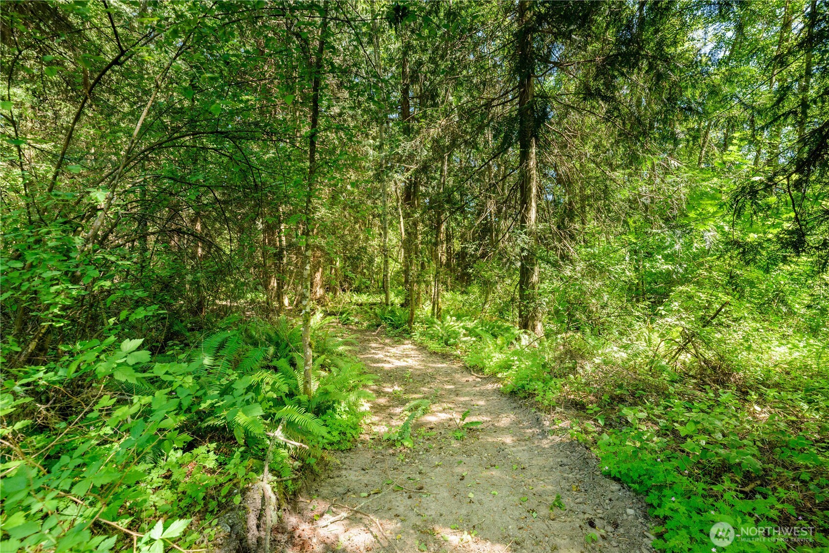 164 Sutter Road Property Photo 20