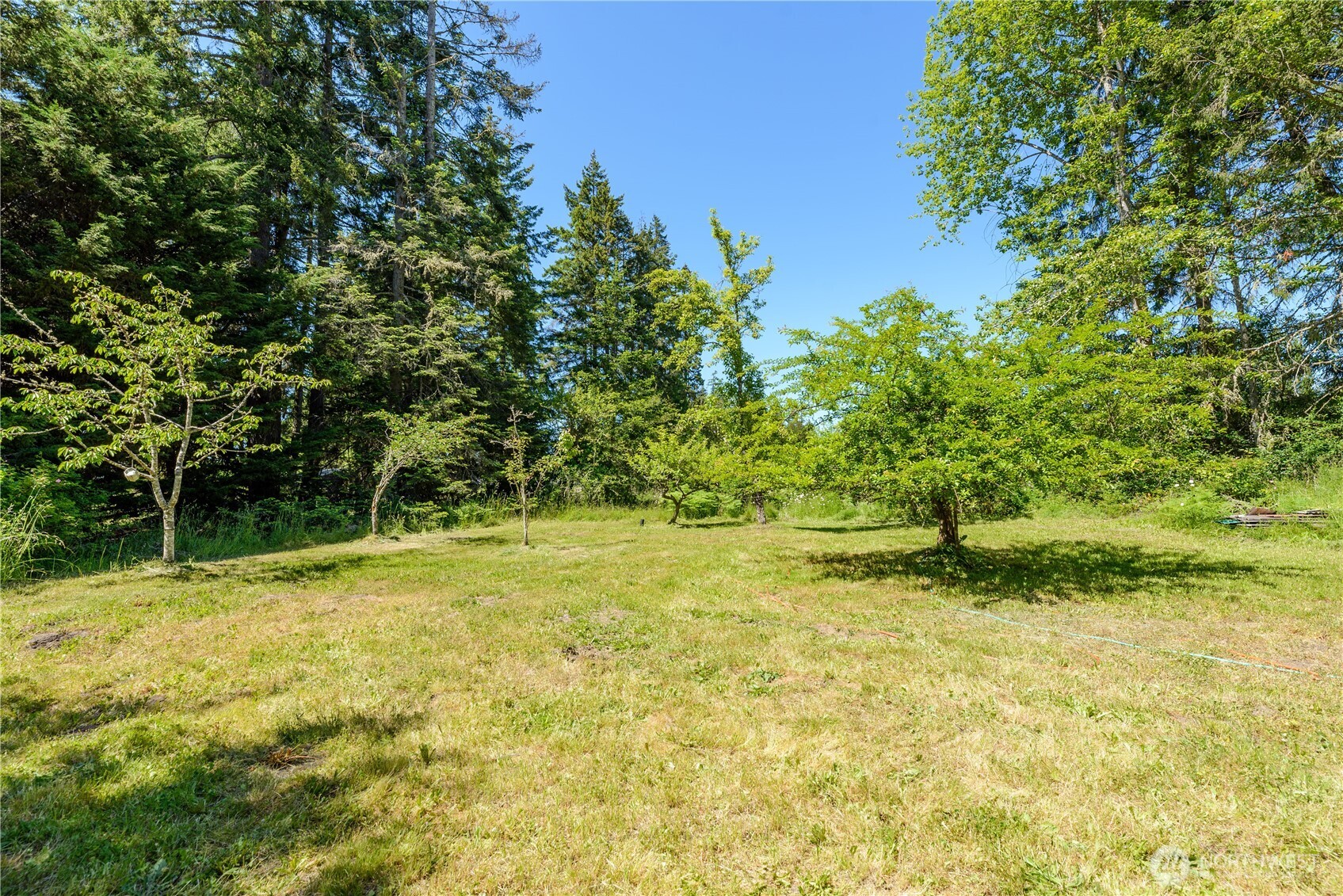 164 Sutter Road Property Photo 21