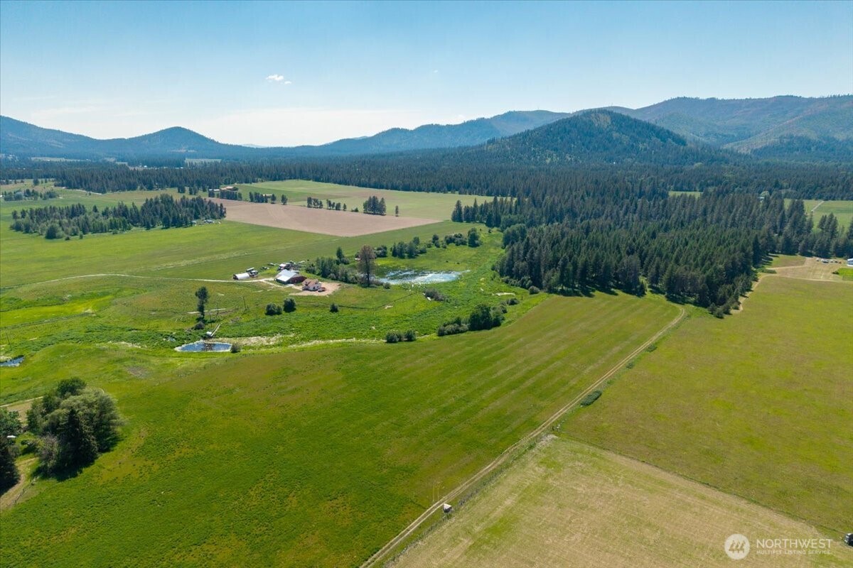 4668 Williams Valley Road Property Photo 3
