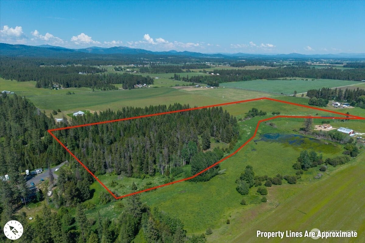 4668 Williams Valley Road Property Photo 6
