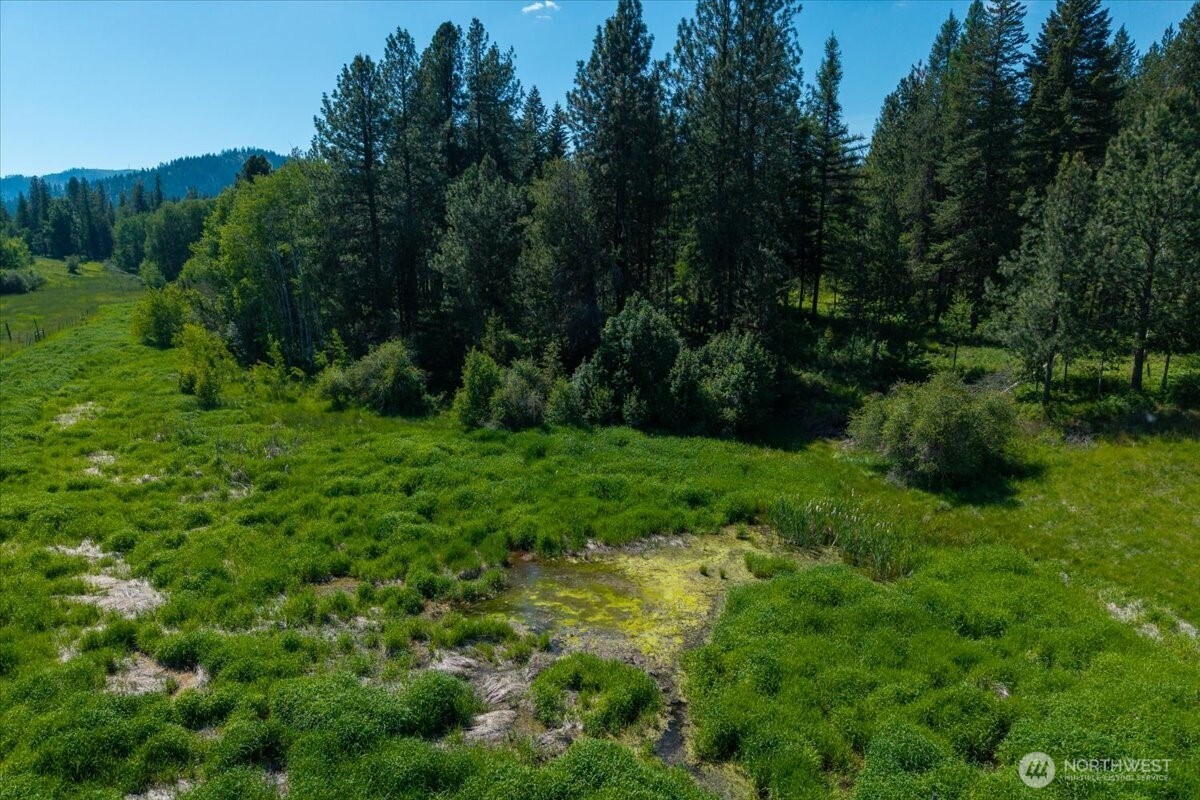 4668 Williams Valley Road Property Photo 20