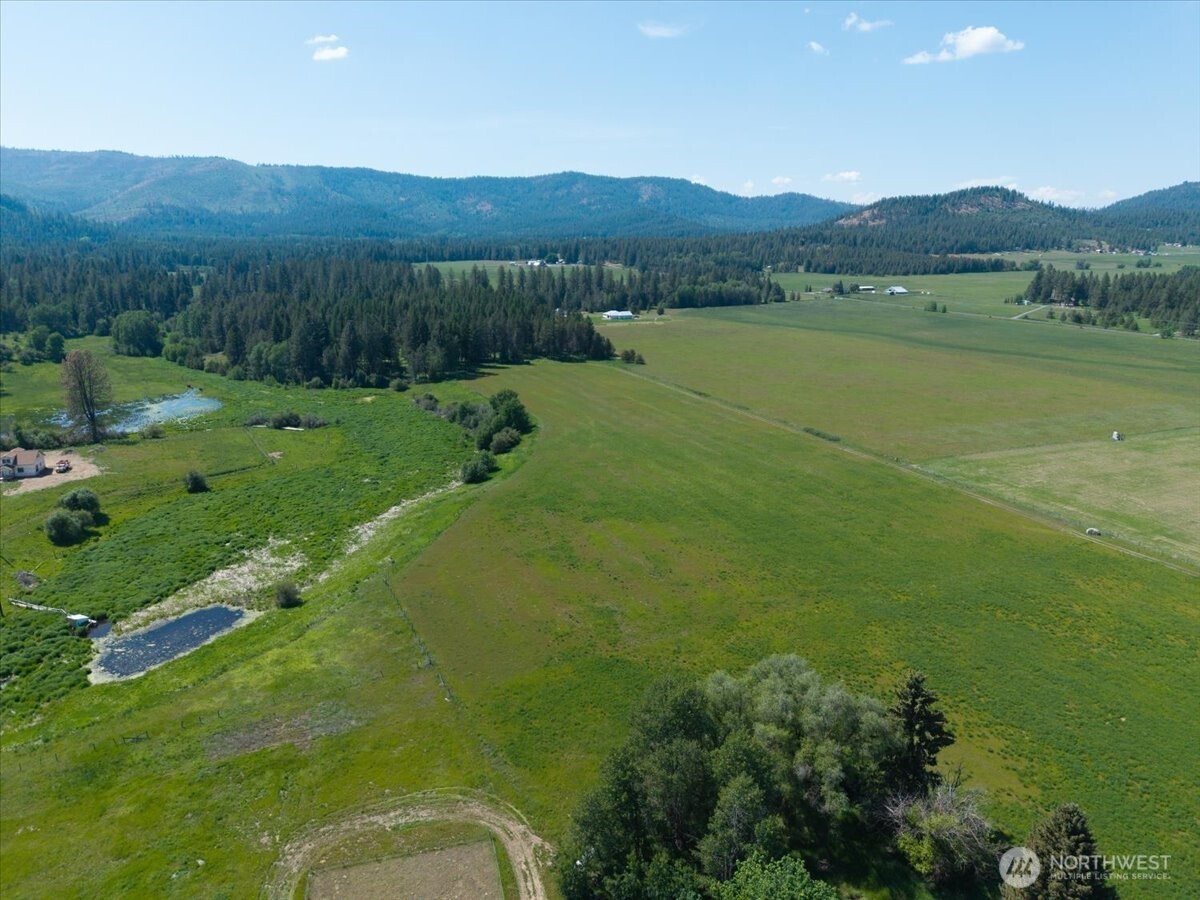 4668 Williams Valley Road Property Photo 24