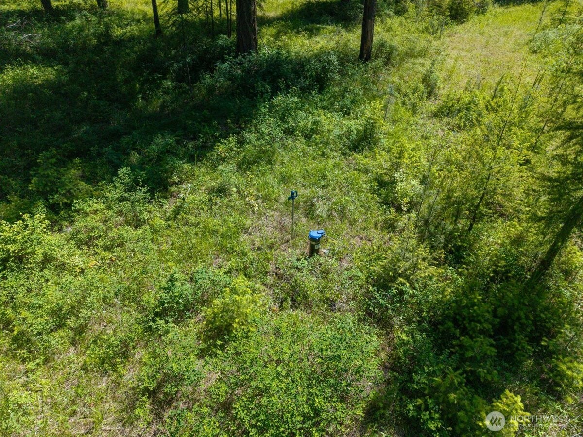 4668 Williams Valley Road Property Photo 26