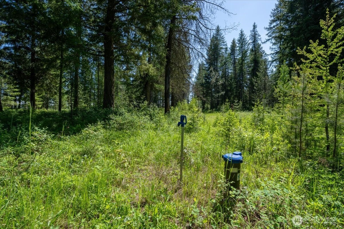 4668 Williams Valley Road Property Photo 27